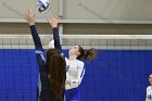 VB vs Gordon  Wheaton Women's Volleyball vs Gordon College. - Photo by Keith Nordstrom : Wheaton, Volleyball